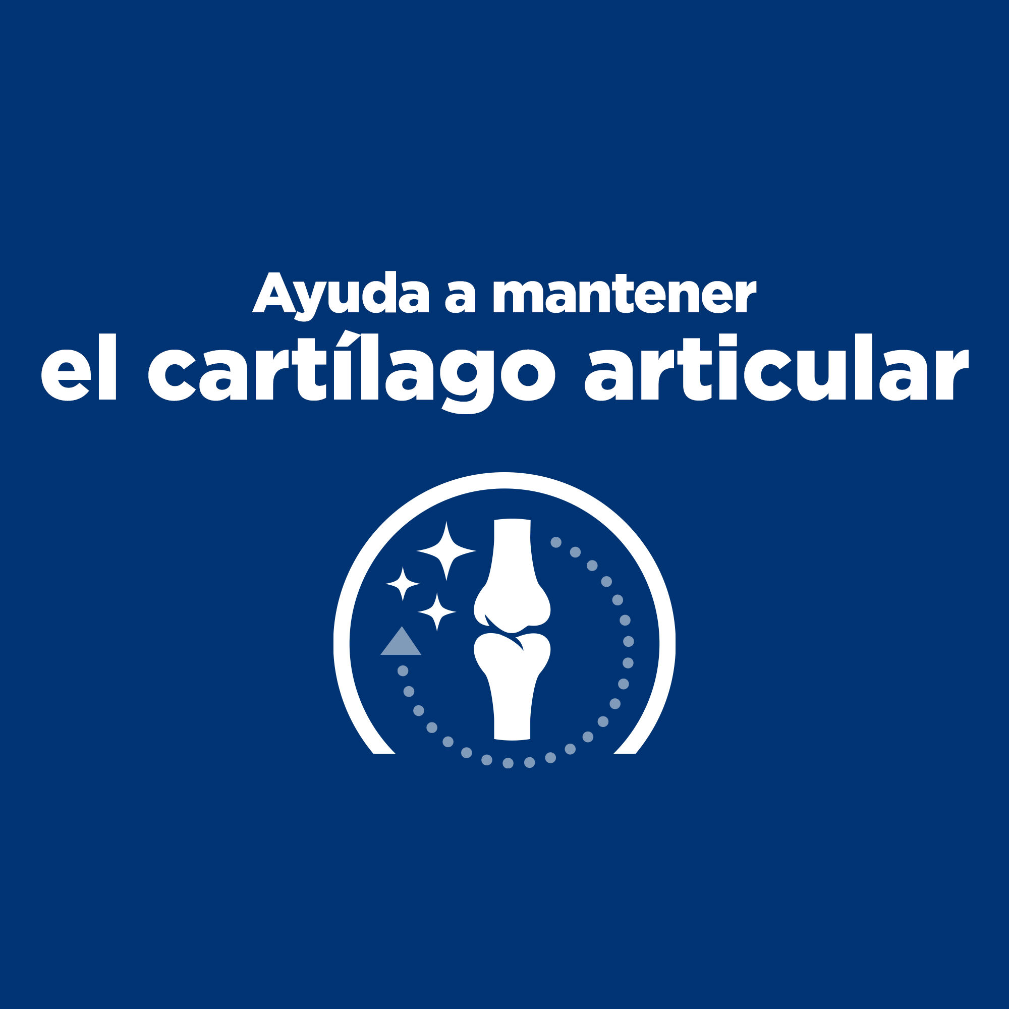 12 kg Hill's Prescription Diet Joint Care Reduced Calorie j/d Frango ra&ccedil;&atilde;o para c&atilde;es, , large Imagem n&uacute;mero 5